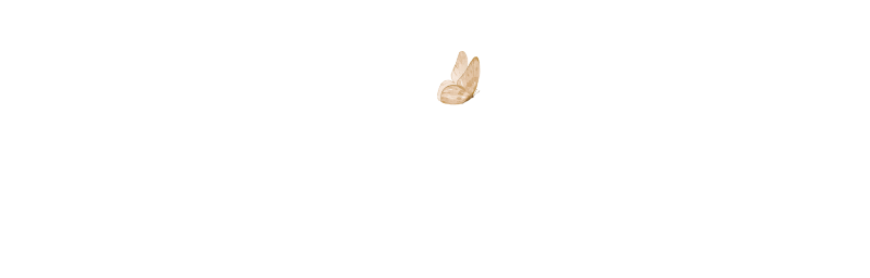 Decorigin